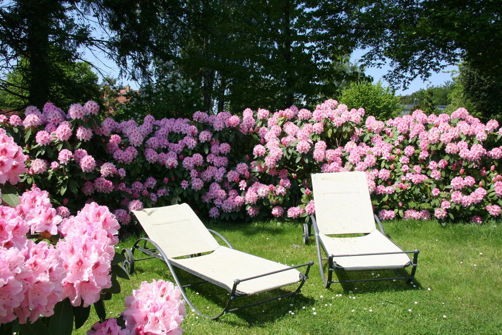 Pension Villa Edelweiss Sellin  Zewnętrze zdjęcie