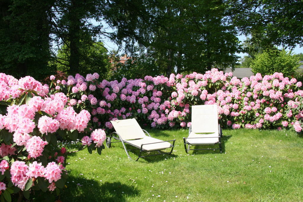 Pension Villa Edelweiss Sellin  Zewnętrze zdjęcie
